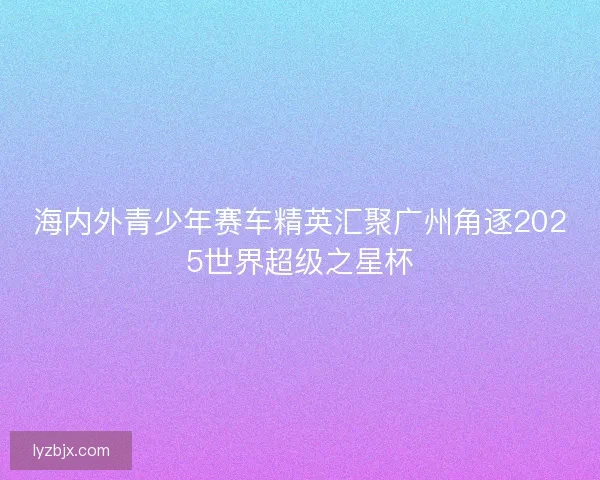 海内外青少年赛车精英汇聚广州角逐2025世界超级之星杯